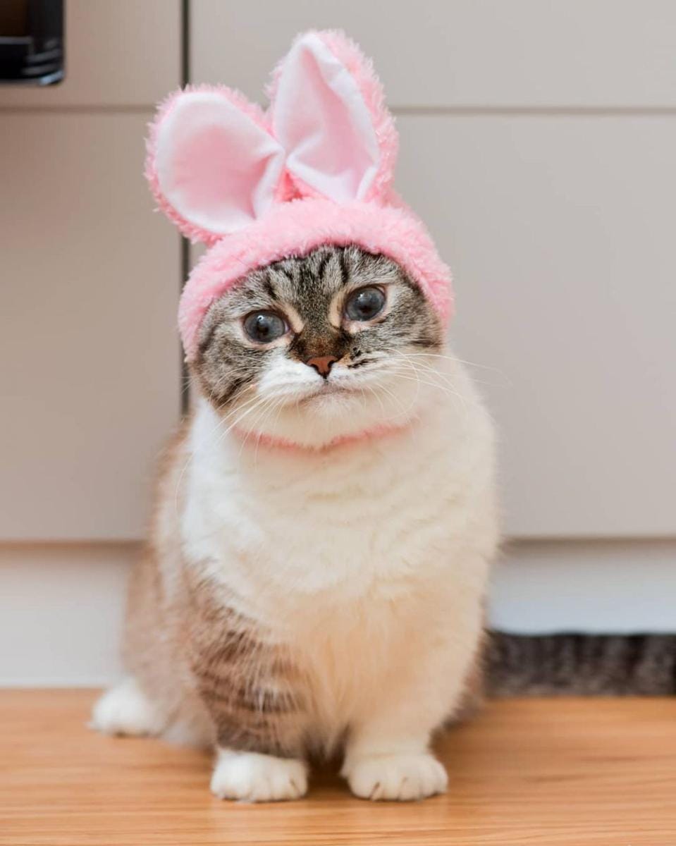 instagram.com/littlemunchiepooky