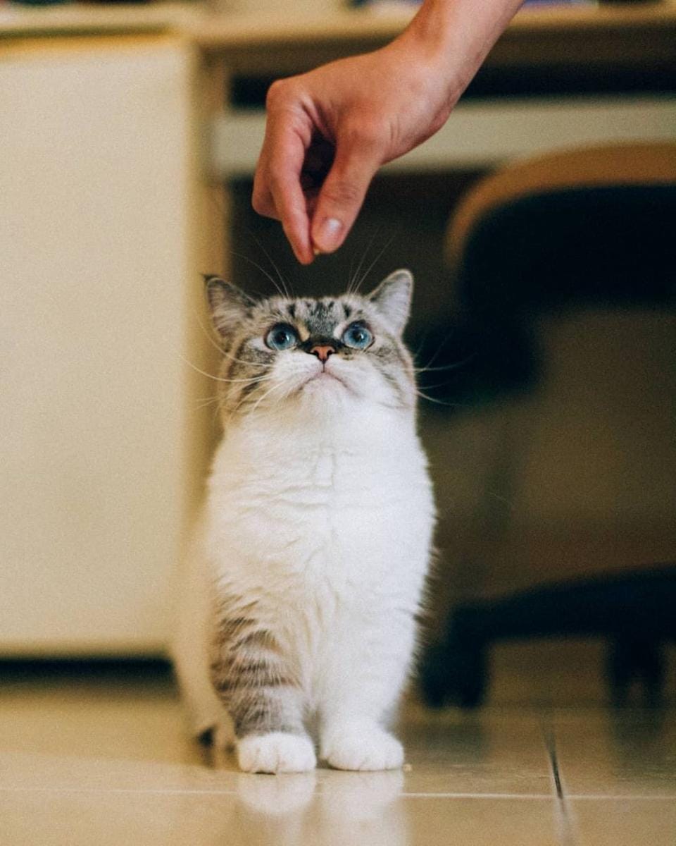 instagram.com/littlemunchiepooky