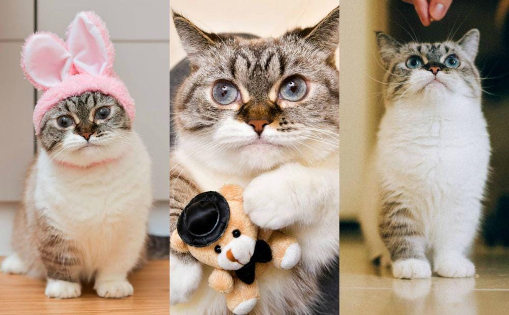 instagram.com/littlemunchiepooky