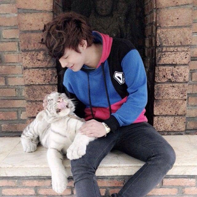 Instagram.com/tyoab_