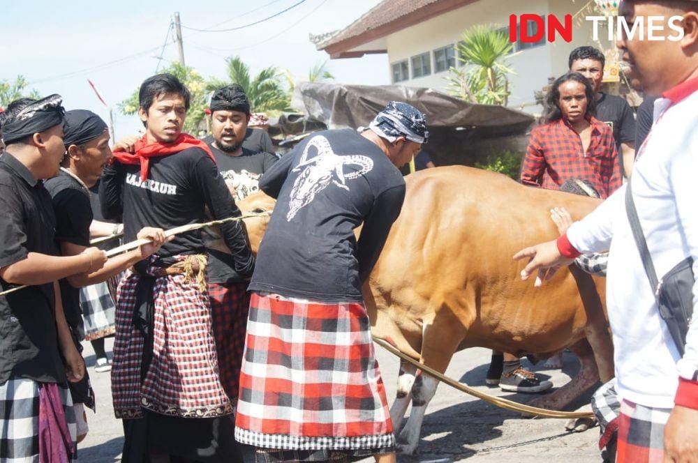 IDN Times/Wayan Antara