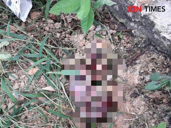 IDN Times/Surya Aditya