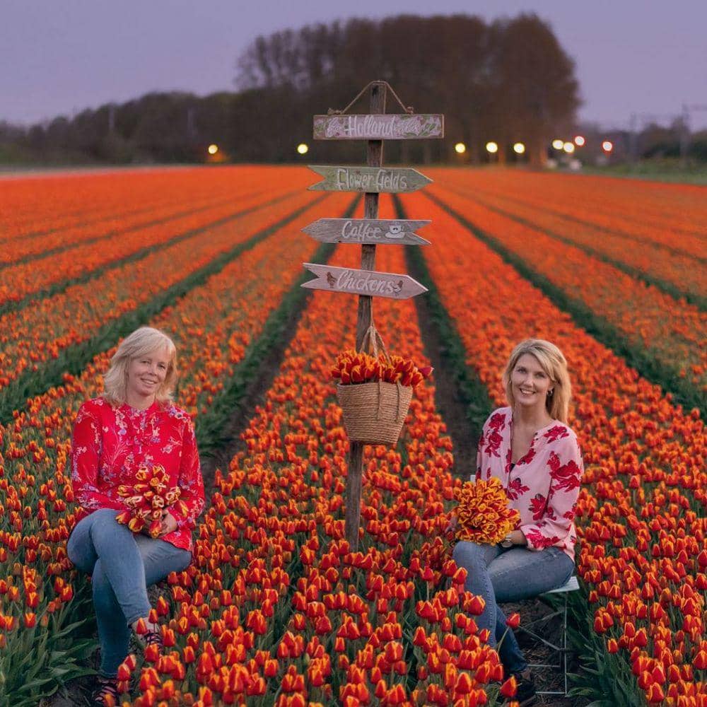 Instagram/famflowerfarm