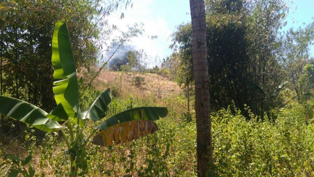 Dok. IDN Times/Istimewa