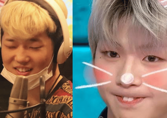 twitter.com/haonarchive  sbs.com.au