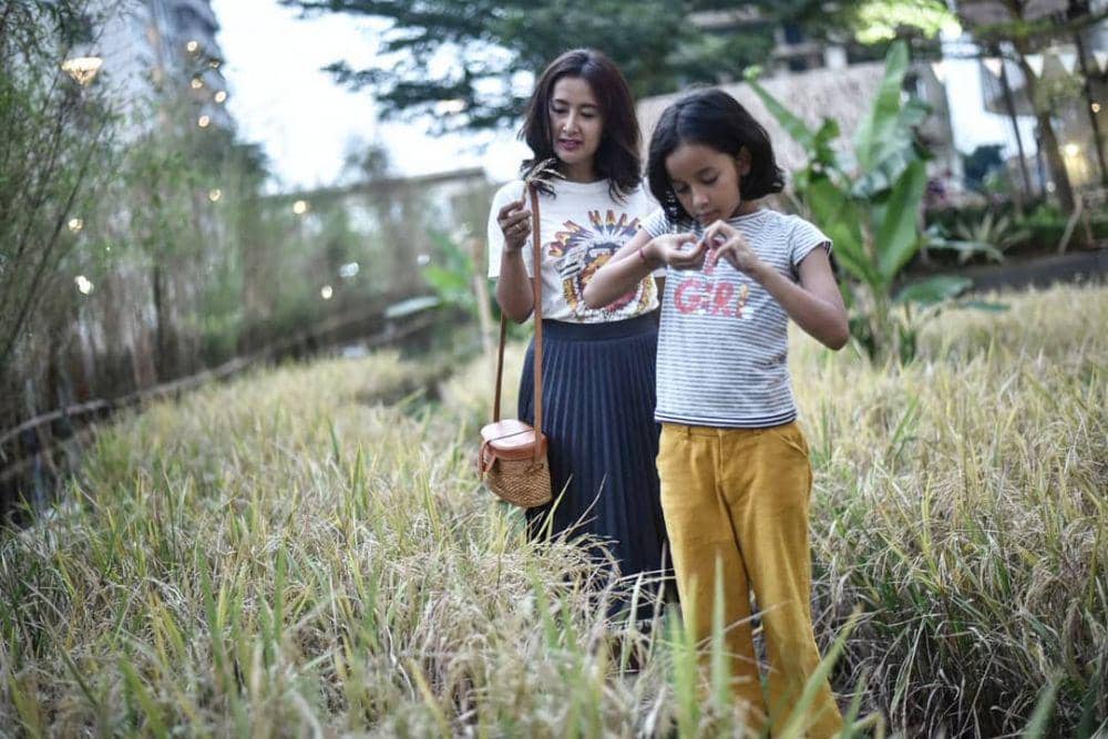 instagram.com/widimulia