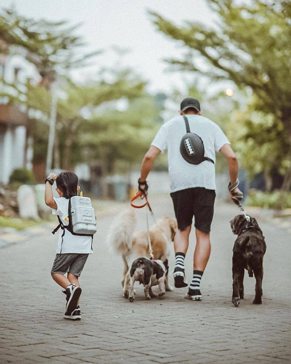 Instagram.com/tail_wagging