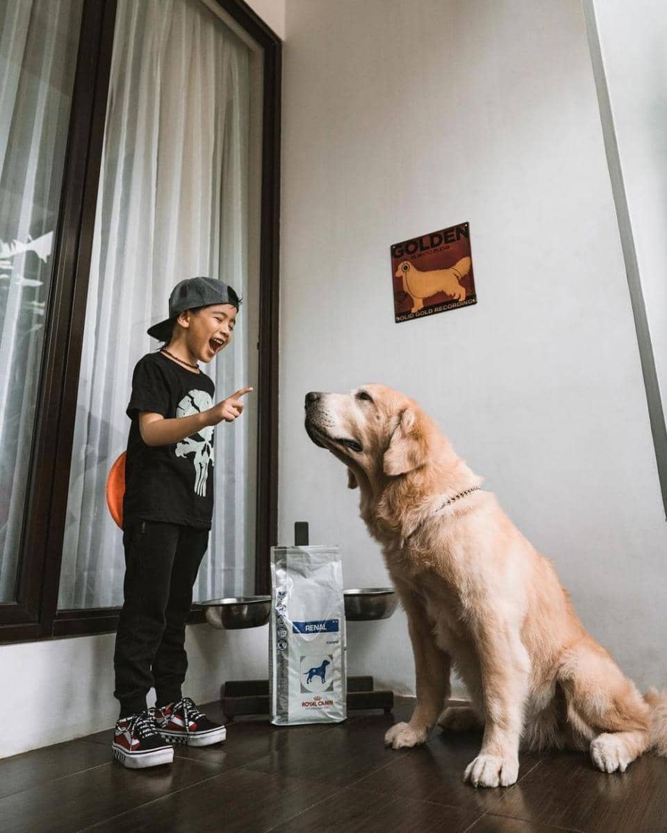 Instagram.com/tail_wagging