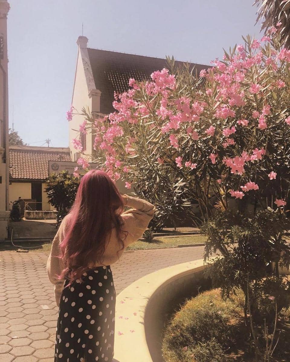 instagram.com/cakecaine