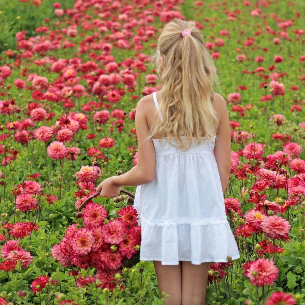 Instagram/fam flower farm