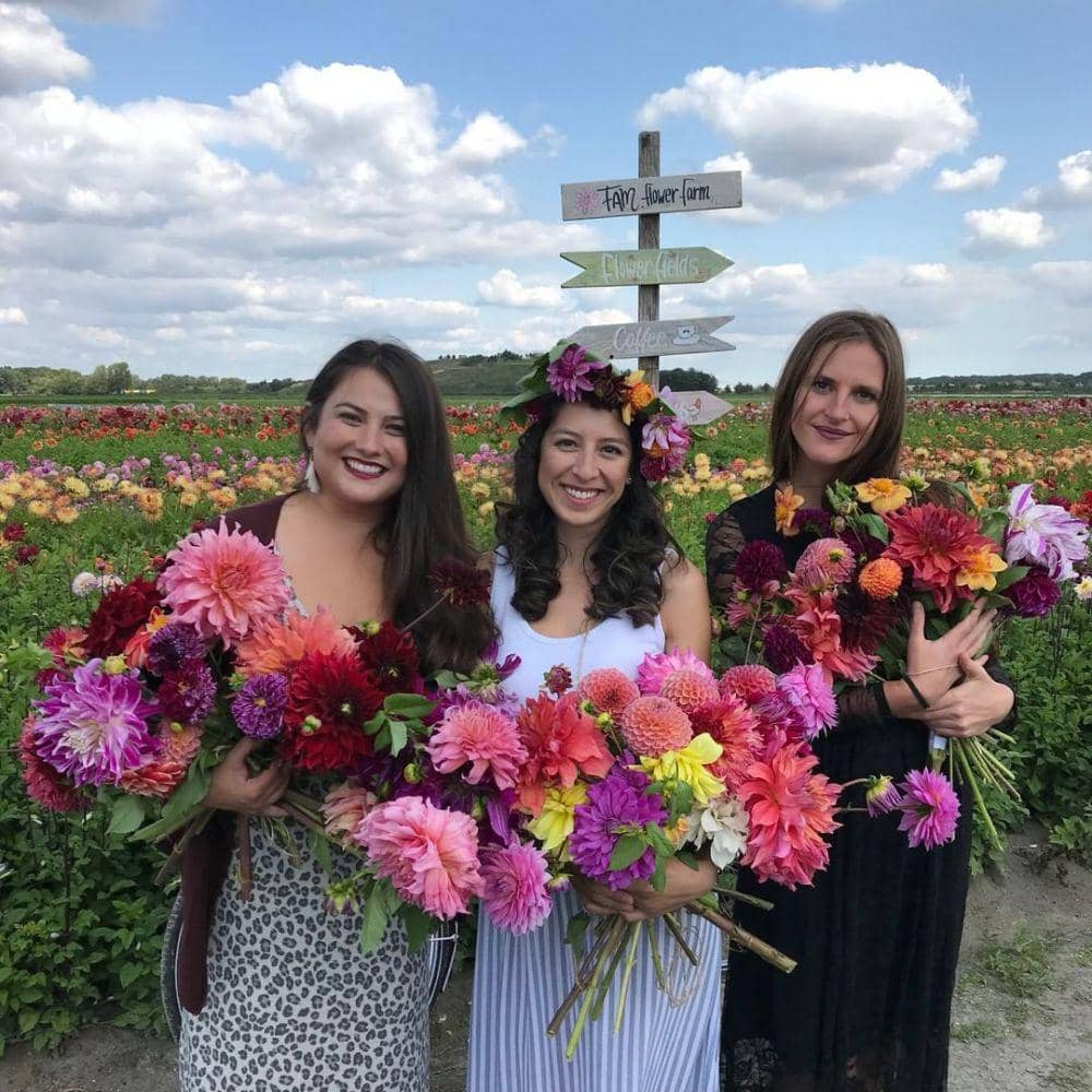 Instagram/fam flower farm