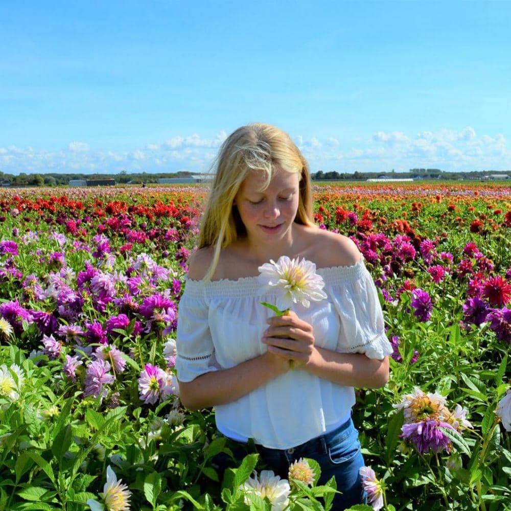 Instagram/fam flower farm