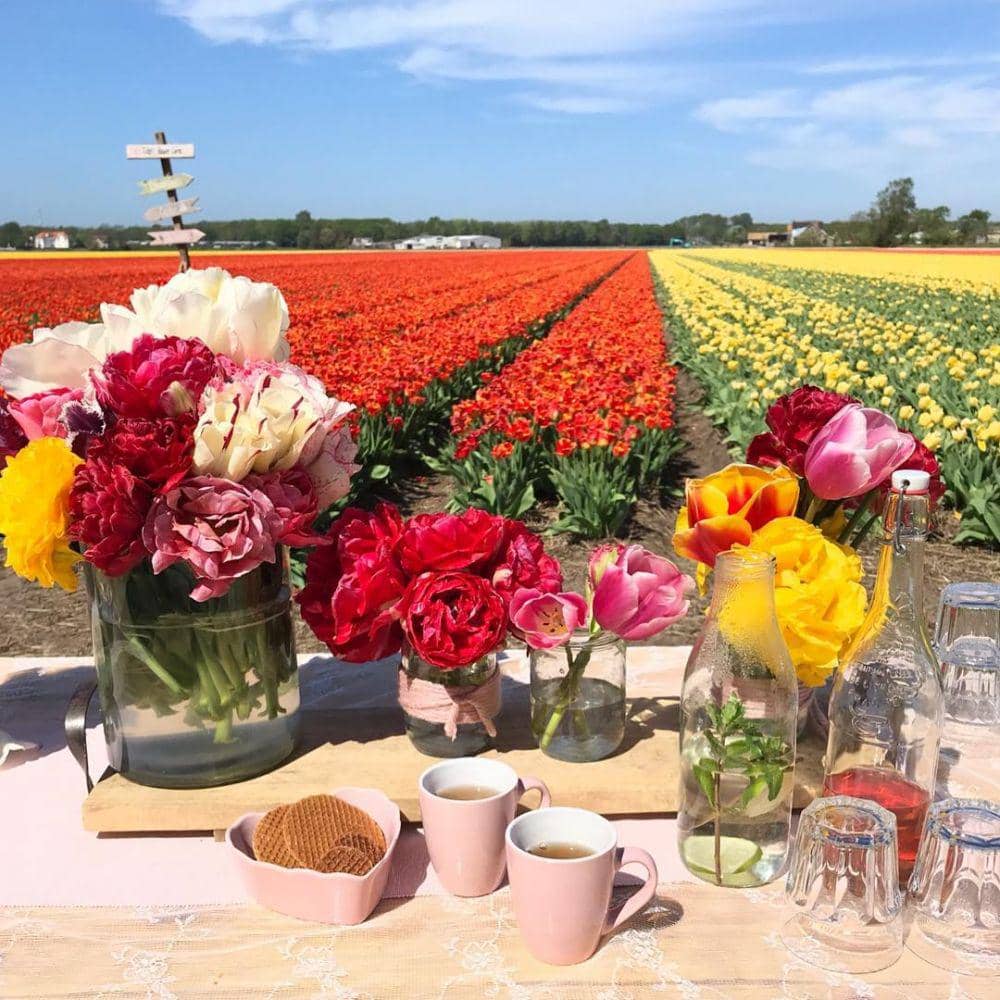 Instagram/famflowerfarm