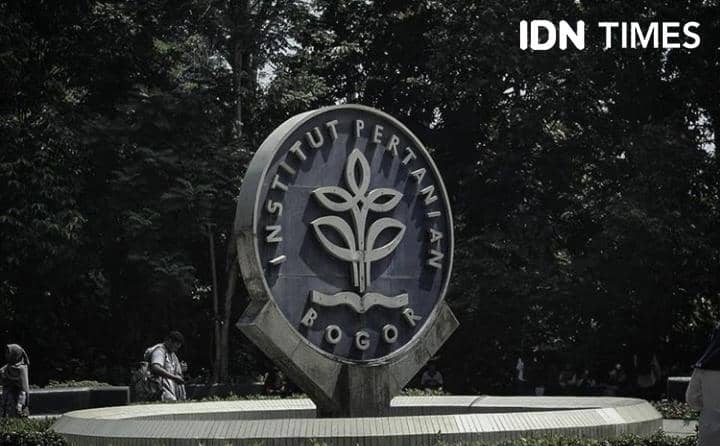 IDN Times/Lazuardi Putri