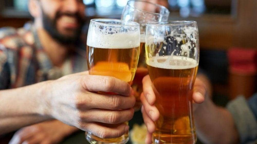 academy.plantbasednews.org