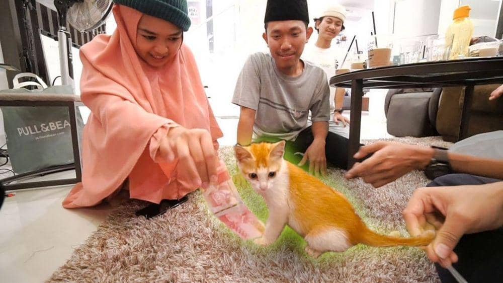 instagram.com/rumah.ricis