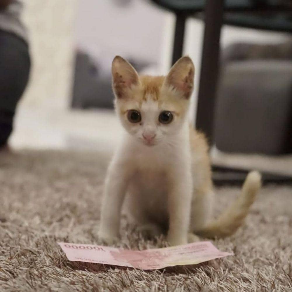 instagram.com/riaricis1795