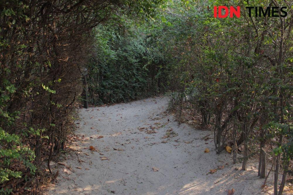 dok.IDN Times/Vamela Aurina