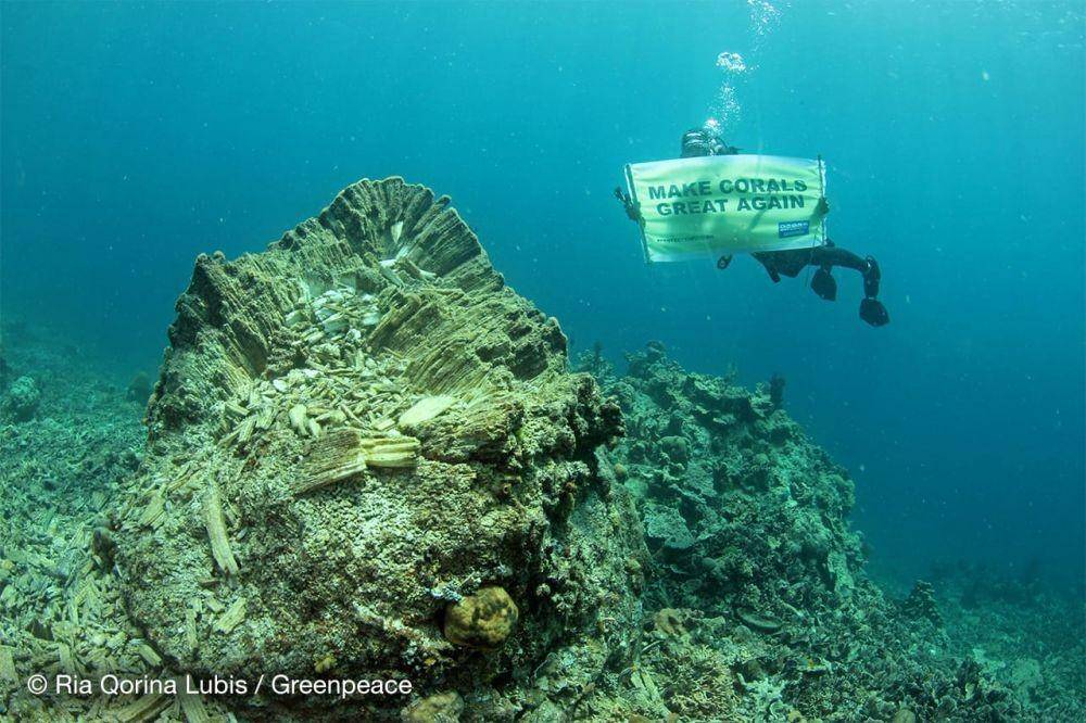 Ria Qorina/Greenpeace