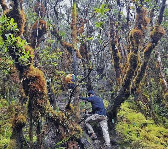 instagram.com/latimojong.id