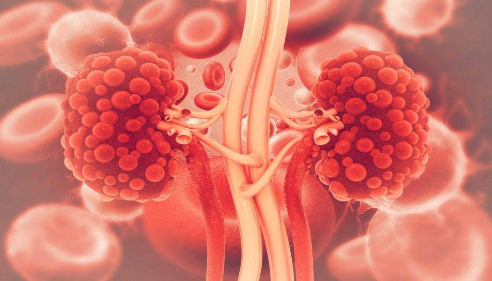 lightedroadinsurance.com