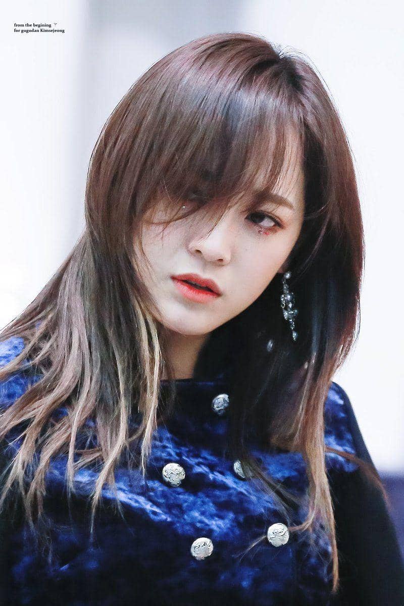 Twitter.com/sejeongpic