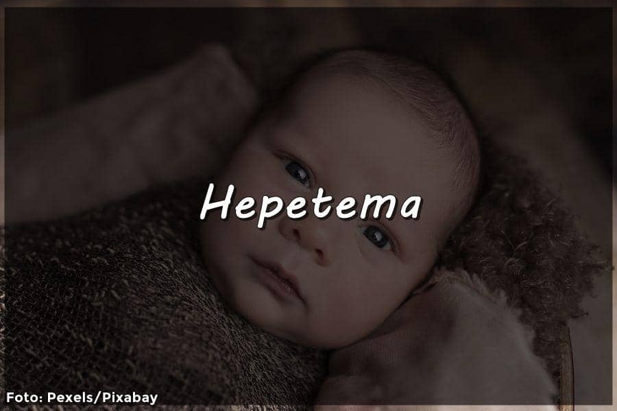 IDN Times/Febriyanti Revitasari