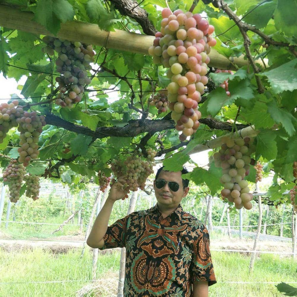 instagram.com/komarudinsalamun