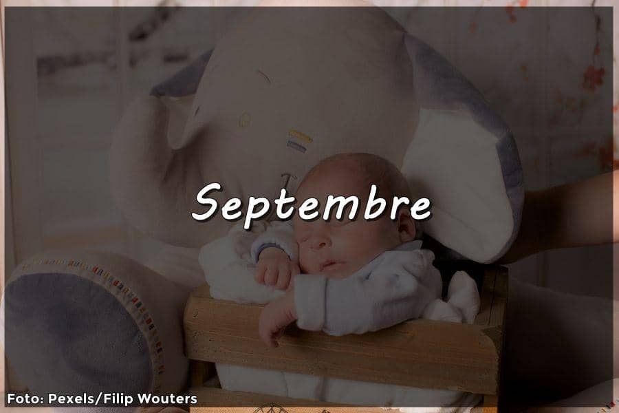 IDN Times/Febriyanti Revitasari