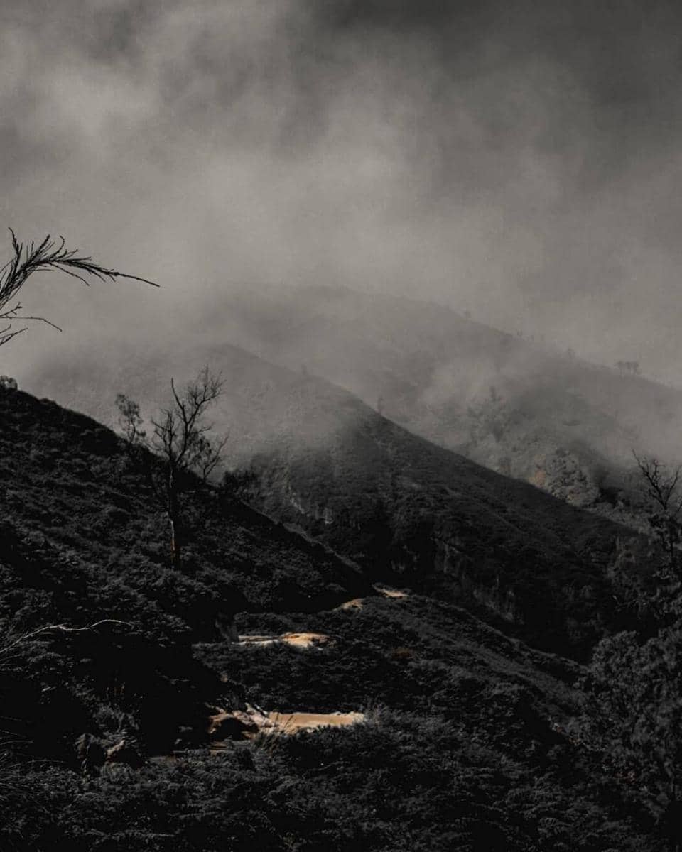 instagram.com/alanprtama