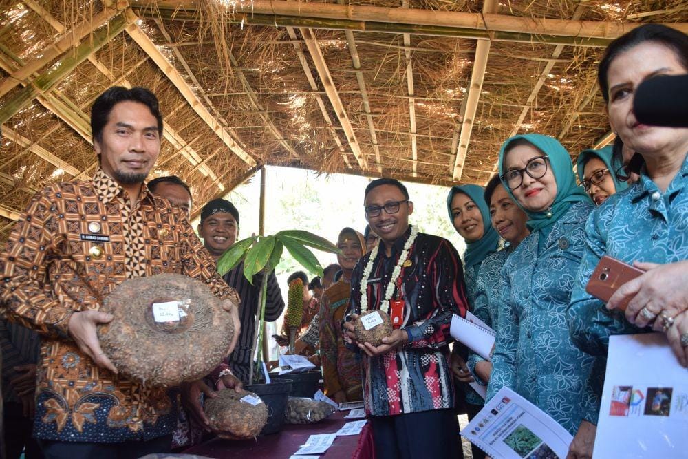 Dok.IDN Times/Istimewa