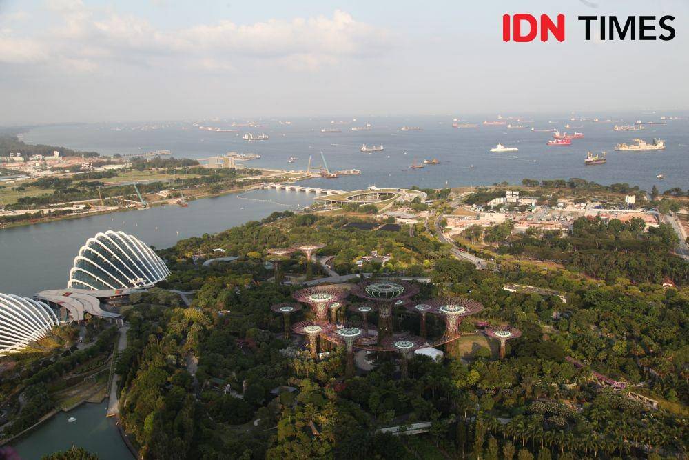 IDN Times/Dewi Suci