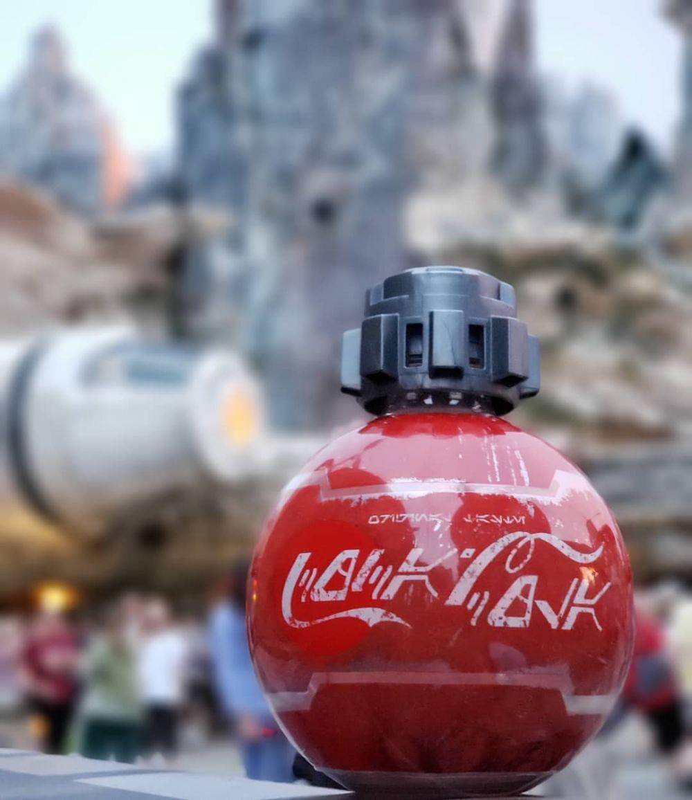 instagram.com/vemparadisney