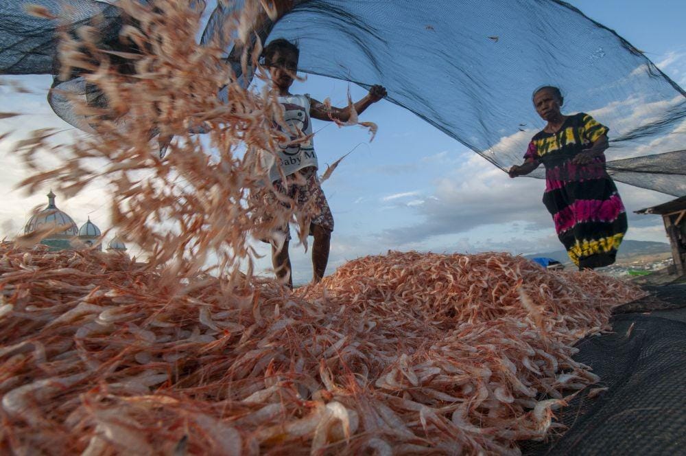 ANTARA FOTO/Basri Marzuki