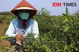 IDN Times/Daruwaskita