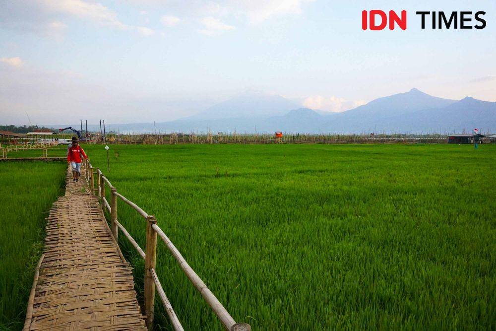 IDN Times/Dhana Kencana