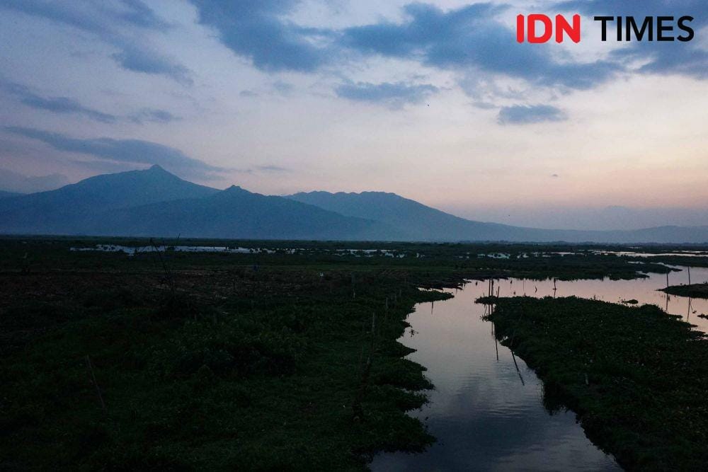 IDN Times/Dhana Kencana