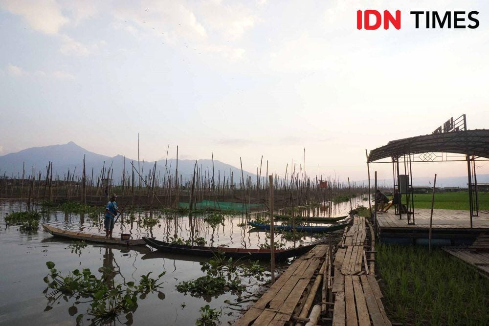 IDN Times/Dhana Kencana