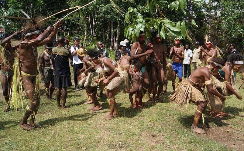 penghubung.papua.go.id/SP/Surya Lesmana
