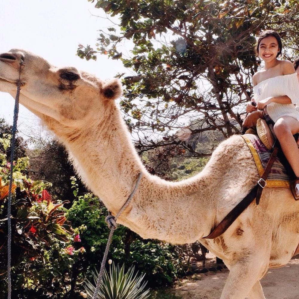 instagram.com/nadiasoekarno