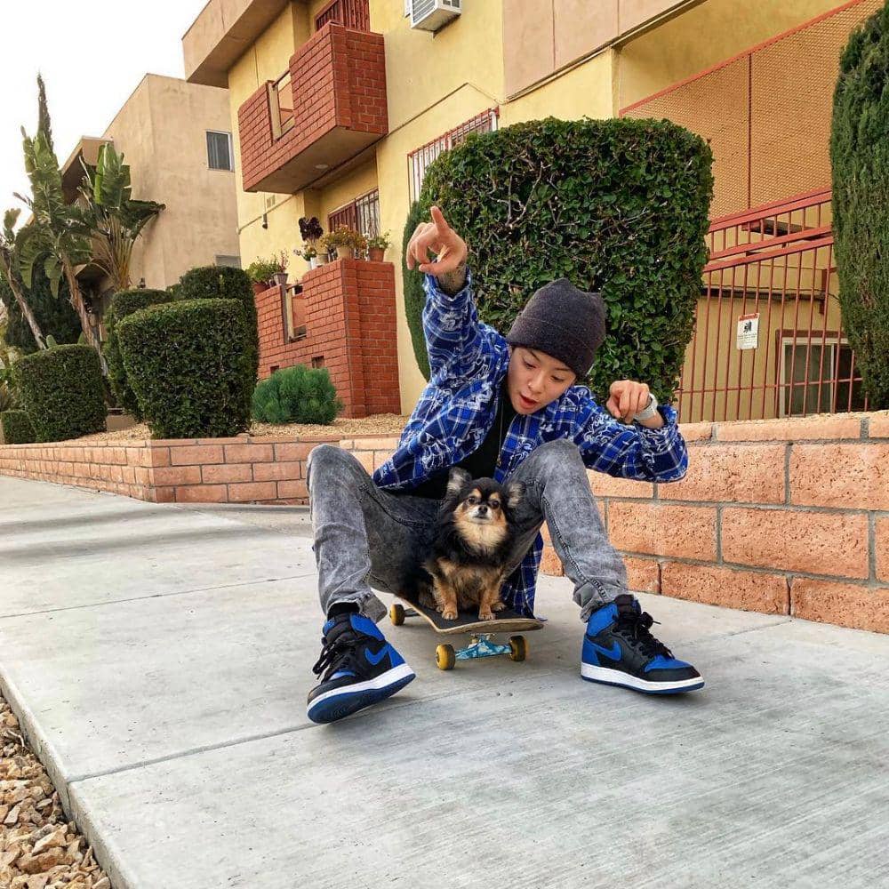 instagram.com/ajol_llama