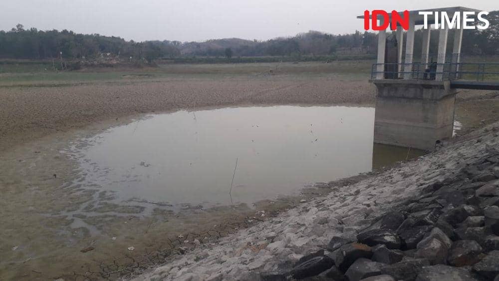 IDN Times/Fariz Fardianto