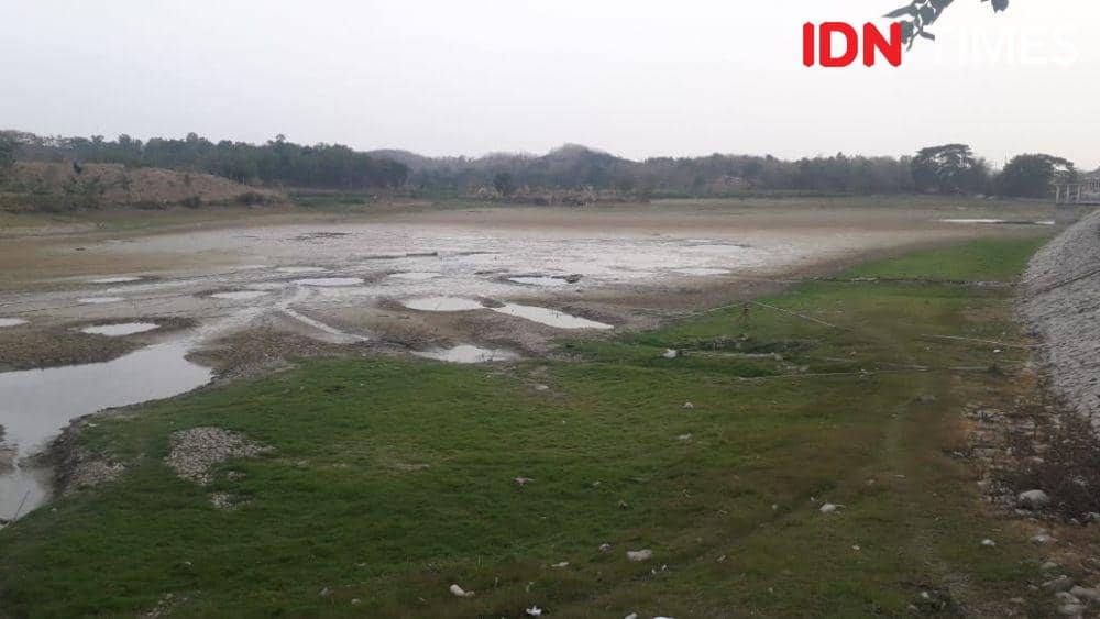 IDN Times/Fariz Fardianto