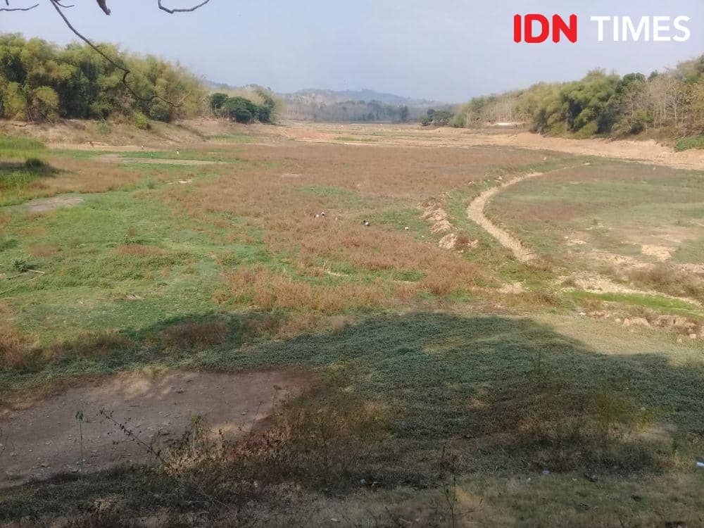 IDN Times/Fariz Fardianto