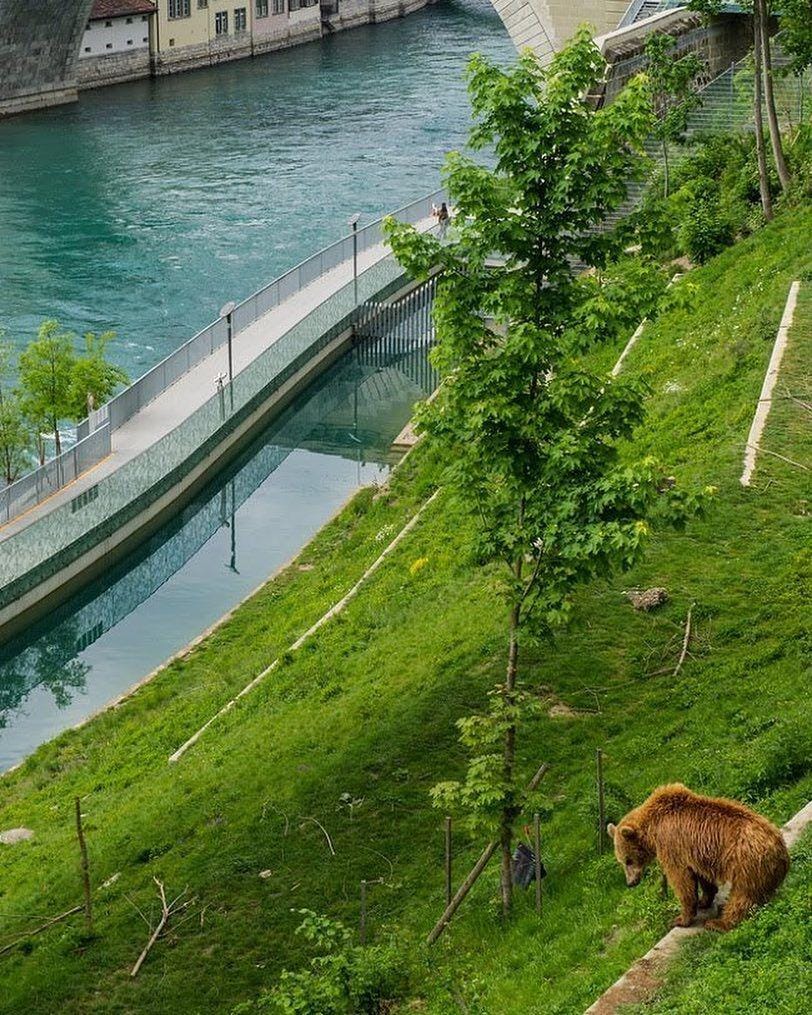 instagram.com/aura_fait_le_tour_du_monde