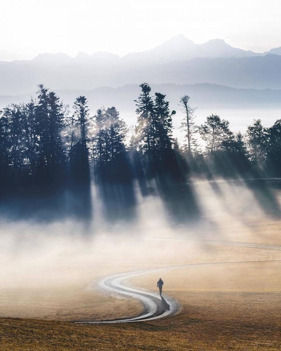 instagram.com/cosmokoala