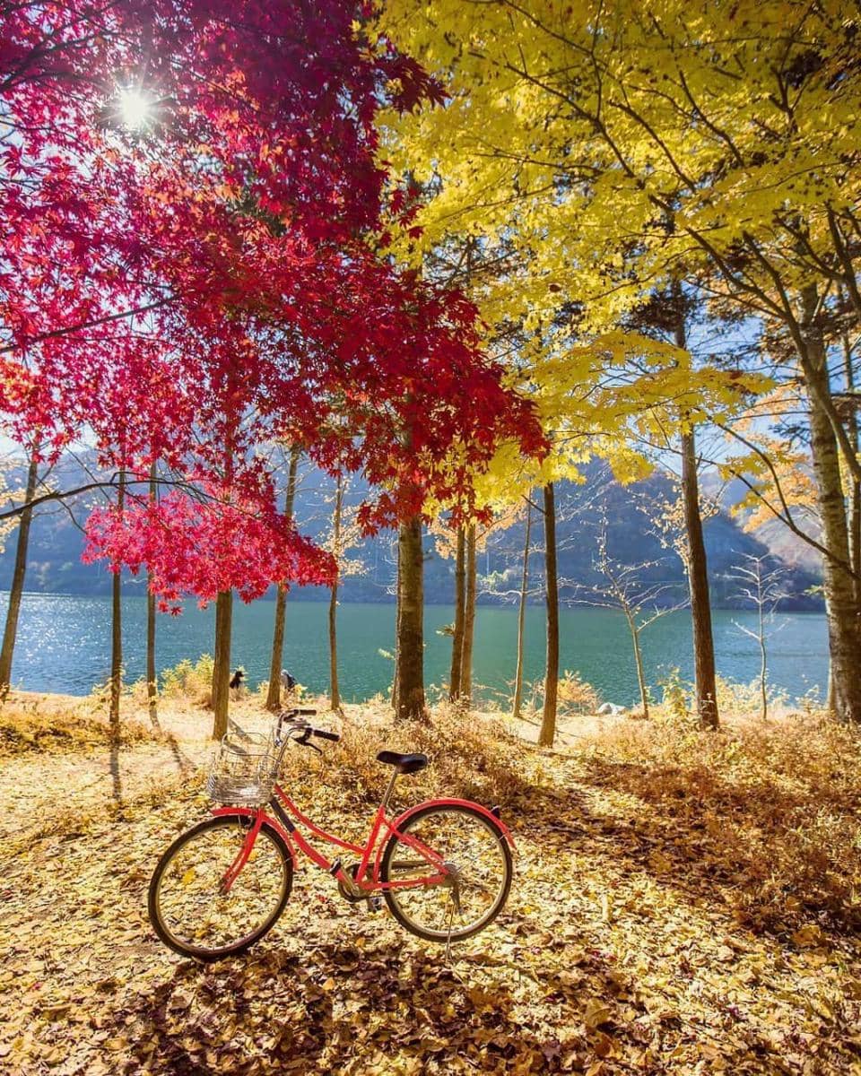 instagram.com/onderkoca