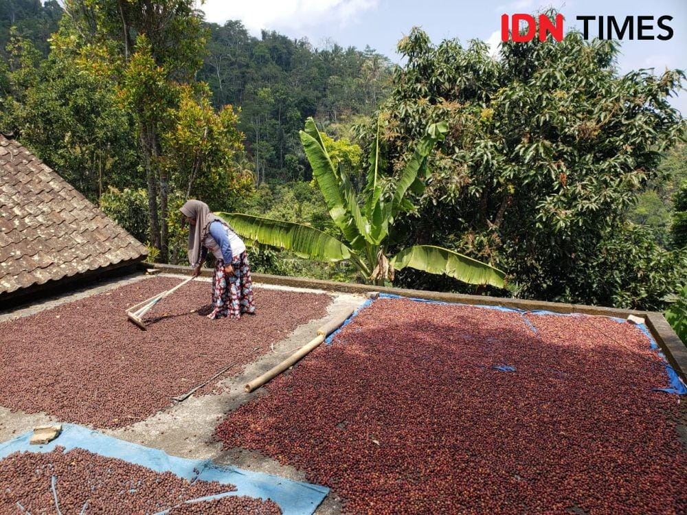 IDN Times/Hana Adi Perdana