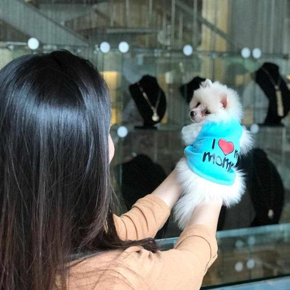 instagram.com/natashawilona12