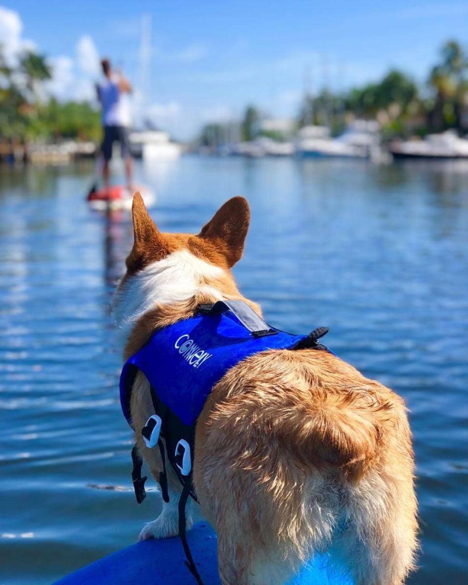 instagram.com/mrbeaches1